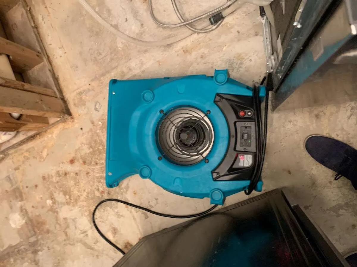 Air mover drying equipment for Mold Remediation & Removal in Radnor
